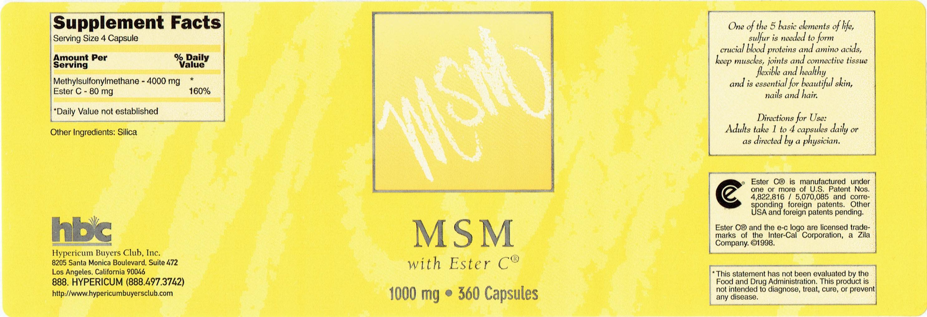 MSM - 360 Capsules