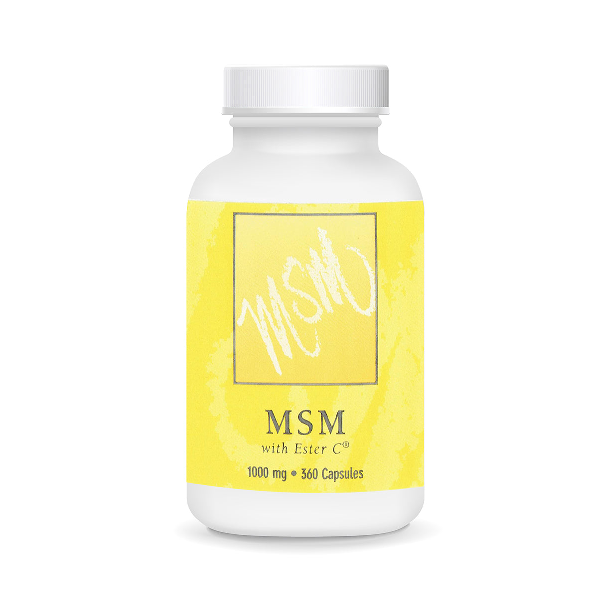 MSM - 360 Capsules
