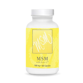 MSM - 360 Capsules